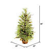 Vickerman 4' Jasper Pine Artificial Christmas Tree, Unlit Image 1