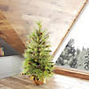 Vickerman 4' Jasper Pine Artificial Christmas Tree, Unlit Image 2