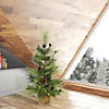 Vickerman 4' Larkspur Pine Artificial Christmas Tree, Unlit Image 2
