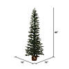 Vickerman 4' Mini Pine Christmas Tree - Unlit Image 1