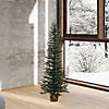 Vickerman 4' Mini Pine Christmas Tree - Unlit Image 3