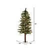 Vickerman 4' Mixed Country Alpine Christmas Tree with Clear Lights Image 1