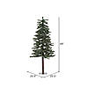 Vickerman 4' Natural Alpine Christmas Tree - Unlit Image 2