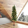 Vickerman 4' Natural Alpine Christmas Tree with Multi-Colored Lights Image 3