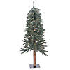 Vickerman 4' Natural Bark Alpine Christmas Tree with Clear Lights Image 1