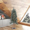 Vickerman 4' Natural Bark Alpine Christmas Tree with LED Lights Image 3
