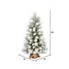 Vickerman 4' Norfolk Frosted Artificial Pine Christmas Tree, Unlit Image 1