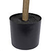 Vickerman 4' Potted Artificial Green Nandina Tree Image 4