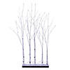 Vickerman 4' White Birch Twig Tree Grove, Warm White 3mm Wide Angle LED lights, 5 Piece Set. Image 1