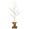 Vickerman 4' White Birch Twig Tree, Warm White 3mm Wide Angle LED lights. Image 1