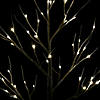 Vickerman 4' White Birch Twig Tree, Warm White 3mm Wide Angle LED lights. Image 3