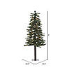 Vickerman 4' x 24" Natural Alpine Tree Warm White Lights Image 1