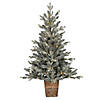 Vickerman 4' x 33" Gooding Potted Pine Tree, Warm White LED Mini Lights Image 1
