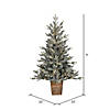Vickerman 4' x 33" Gooding Potted Pine Tree, Warm White LED Mini Lights Image 2