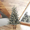 Vickerman 4' x 33" Gooding Potted Pine Tree, Warm White LED Mini Lights Image 3