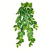 Vickerman 40" Artificial Pothos Hanging Bush Image 1