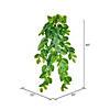 Vickerman 40" Artificial Pothos Hanging Bush Image 1