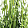 Vickerman 41" Artificial Green Potted Bamboo and Grass Image 3