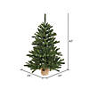 Vickerman 42" Anoka Pine Christmas Tree - Unlit Image 1