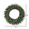 Vickerman 42" Camdon Fir Artificial Christmas Wreath, Unlit Image 1