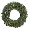 Vickerman 42" Douglas Fir Artificial Christmas Wreath, Warm White LED Lights Image 1