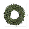 Vickerman 42" Douglas Fir Artificial Christmas Wreath, Warm White LED Lights Image 1