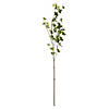 Vickerman 46" Artificial Green Castor Bean Leaf Spray Includes 3 sprays per pack Image 1