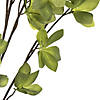 Vickerman 46" Artificial Green Castor Bean Leaf Spray Includes 3 sprays per pack Image 3