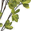 Vickerman 46" Artificial Green Castor Bean Leaf Spray Includes 3 sprays per pack Image 3