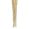 Vickerman 46" Dried Bleached Pampas Grass, 6 pieces per Pack. Image 2