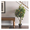 Vickerman 48"  Artificial Green and Orange - Real Touch Orange Tree Image 1