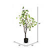 Vickerman 48" Artificial Potted Milan Leaf Tree Image 1