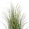 Vickerman 48" Artificial Potted Native Green Grass Image 2