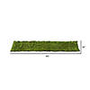 Vickerman 48" Artificial Retangular Moss Mat Image 1