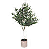 Vickerman 48" Olive Tree in Pot Image 1