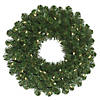 Vickerman 48" Oregon Fir Artificial Christmas Wreath, Warm White Single Mold LED Wide Angle Lights Image 1