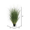 Vickerman 48" PVC Artificial Potted Green Curled Grass Image 3