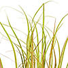 Vickerman 48"  PVC Artificial Potted Mixed Brown Grass Image 2