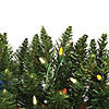 Vickerman 5.5' Durham Pole Artificial Christmas Tree, Multi-Colored LED Dura-lit Lights Image 1