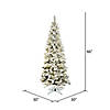 Vickerman 5.5' Flocked Pacific Christmas Tree with Warm White LED Lights Image 2