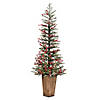 Vickerman 5.5' Frosted Berry Potted Pine Artificial Christmas Tree, Warm White Dura-lit LED Lights Image 1