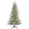 Vickerman 5.5' Frosted Eastern Fraser Fir Artificial Christmas Tree, Warm White Dura-lit LED Lights Image 1