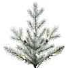 Vickerman 5.5' Frosted Eastern Fraser Fir Artificial Christmas Tree, Warm White Dura-lit LED Lights Image 2