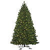 Vickerman 5.5' Oregon Fir Outdoor Artificial Christmas Tree,  Warm White Wide Angle LED Lights Image 1