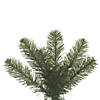 Vickerman 5.5' Salem Pencil Pine Christmas Tree with Clear Lights Image 1