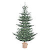 Vickerman 5' Alberta Blue Spruce Artificial Christmas Tree, Warm White Dura-lit LED Lights Image 1