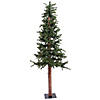 Vickerman 5' Alpine Artificial Christmas Tree - Unlit Image 1