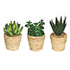 Vickerman 5" and 6" Assorted Potted Succulents - 3/pk Image 1