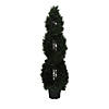 Vickerman 5' Artificial Green Cedar Double Spiral Topiary, Black Plastic Pot Image 1