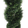 Vickerman 5' Artificial Green Cedar Double Spiral Topiary, Black Plastic Pot Image 3